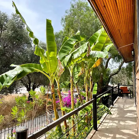 Ata Boutique Hotel 5*